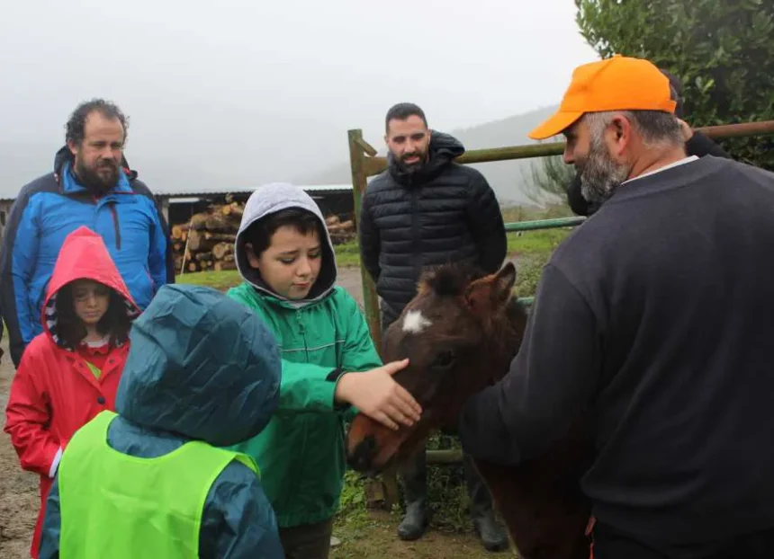 Escolares do CEIP Terra Ch de Vilalba visitaron a gandeir a