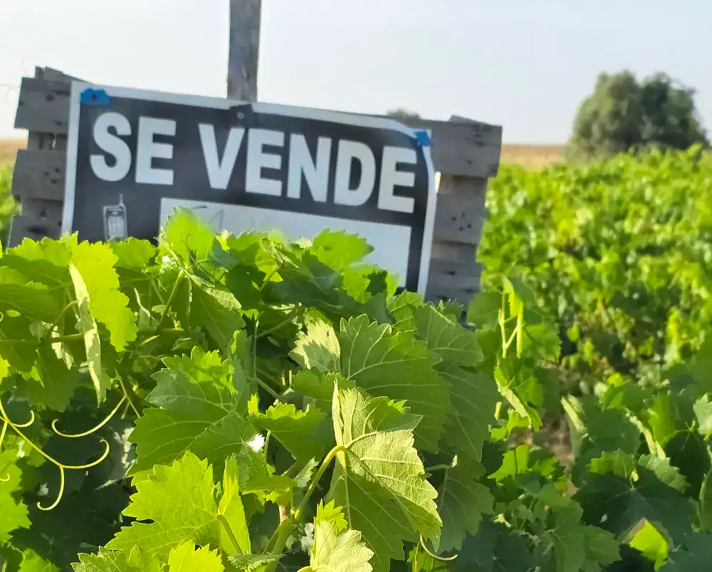 Plataformas de agricultores agradecen que los museos, miradores y Rutas del Vino en Huelva lleguen al Parlamento de Andalucía